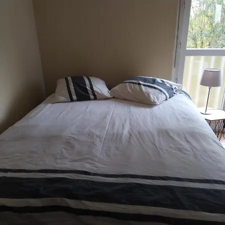 Apartmán De 2 Chambres Avec Jardin Et Wifi A Illzach